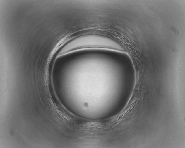 X0000116040150200911201352