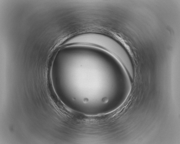 X0000116040154200911201352