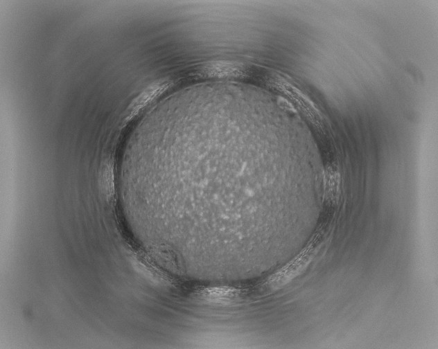 X0000116040158200911201352