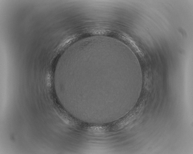 X0000116040161200911201352