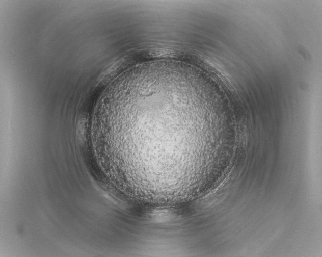 X0000116040171200911201352