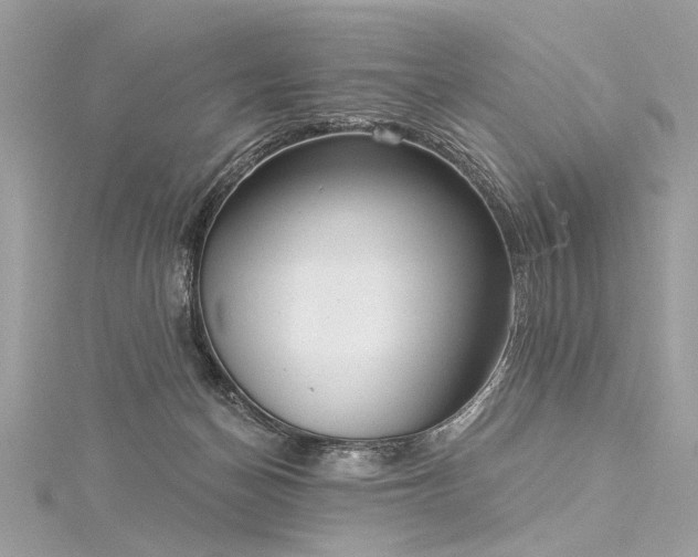 X0000116040174200911201352