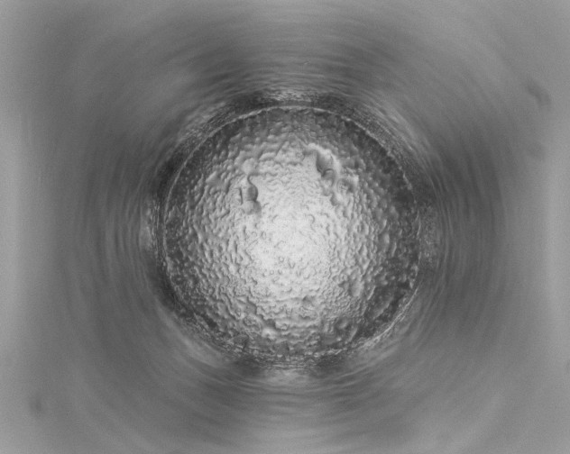 X0000116040175200911201352