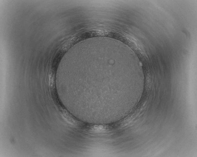 X0000116040177200911201352