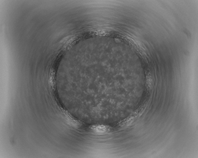 X0000116040181200911201352