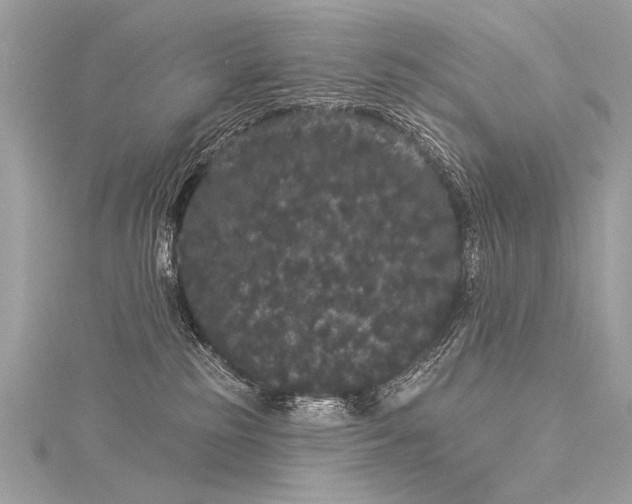 X0000116040185200911201353