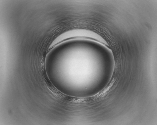 X0000116040186200911201353