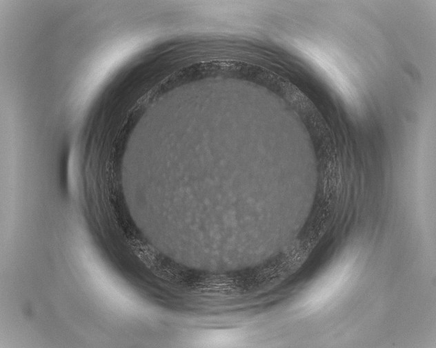 X0000116040189200911201353