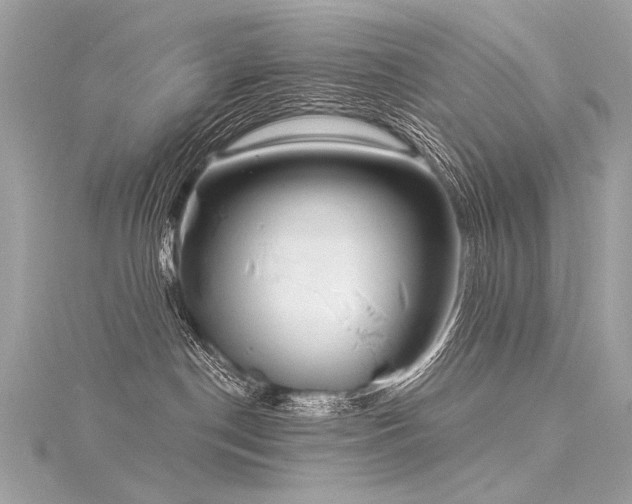 X0000116040190200911201353