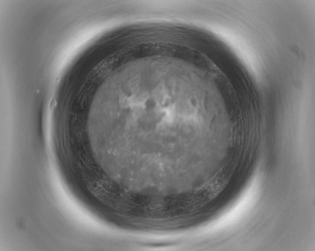 X0000116040191200911201353