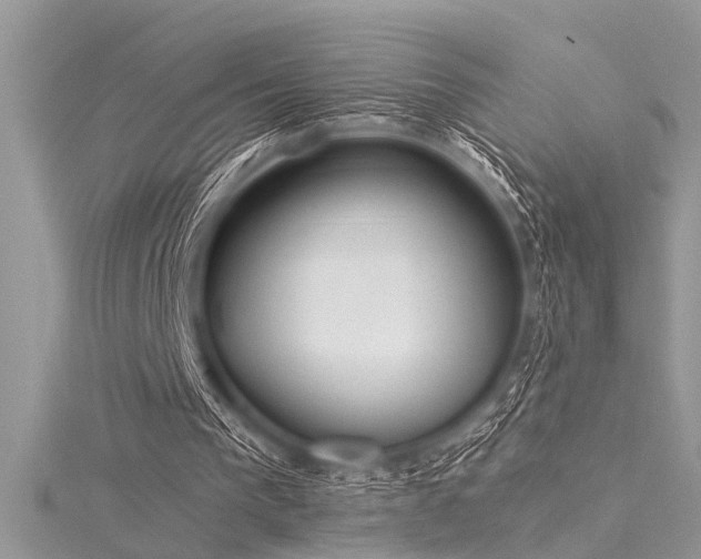 X0000116040193200911201352