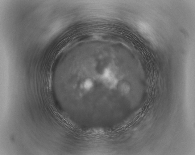 X0000116040194200911201352