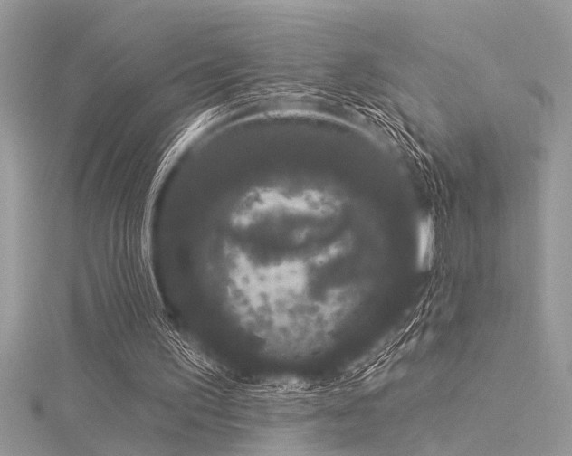 X0000116040195200911201352