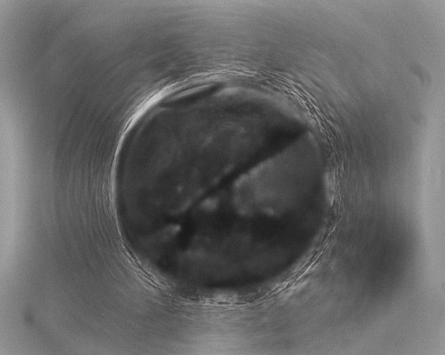 X0000116040196200911201352