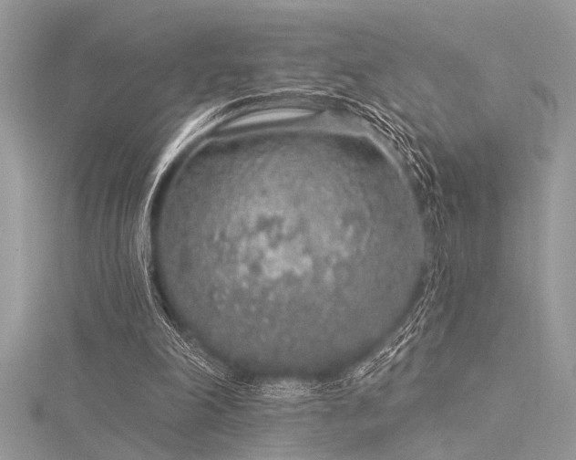 X0000116040198200911201352