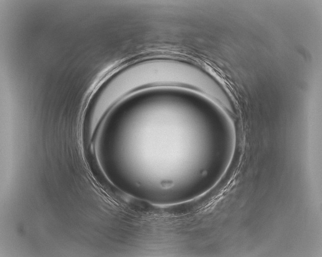 X0000116040199200911201352