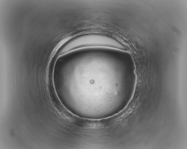 X0000116040200200911201352