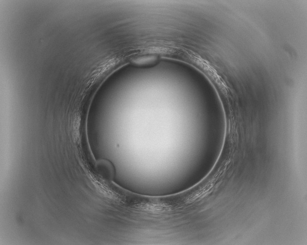 X0000116040201200911201352