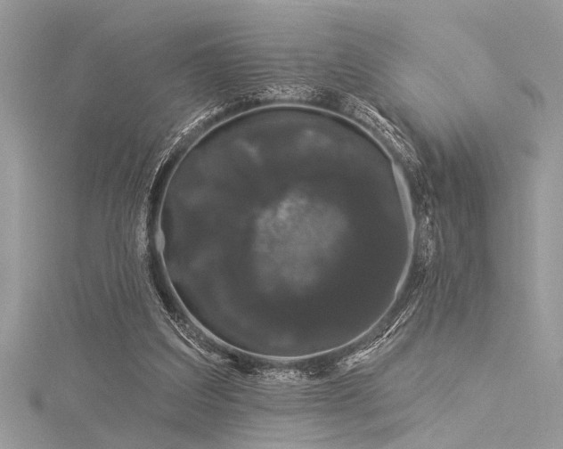 X0000116040203200911201352