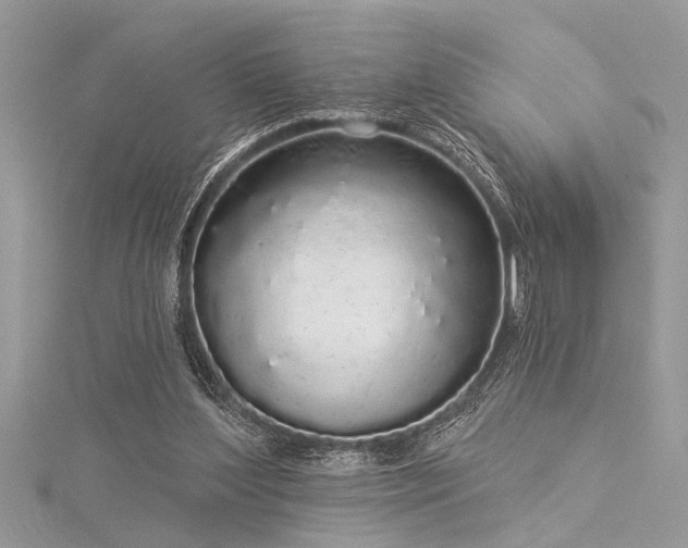 X0000116040204200911201352