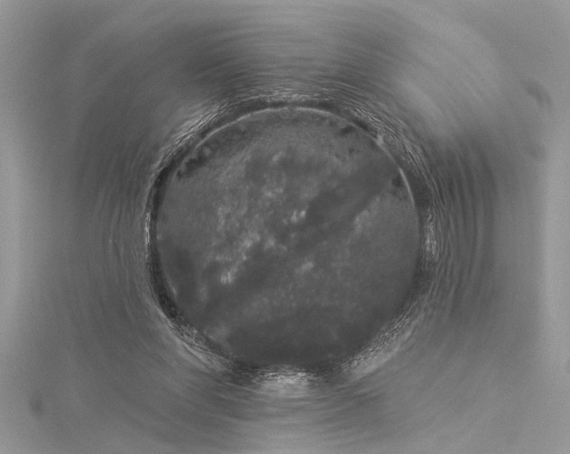 X0000116040206200911201352