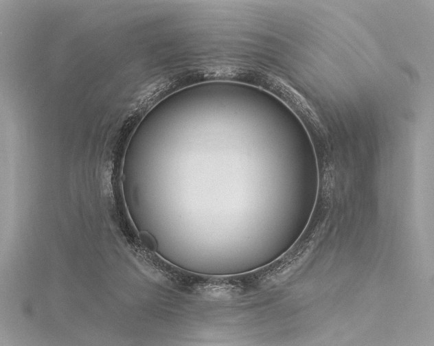 X0000116040209200911201352