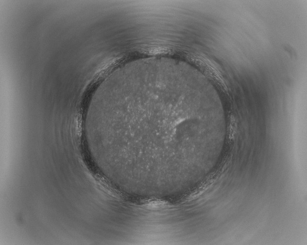 X0000116040210200911201352