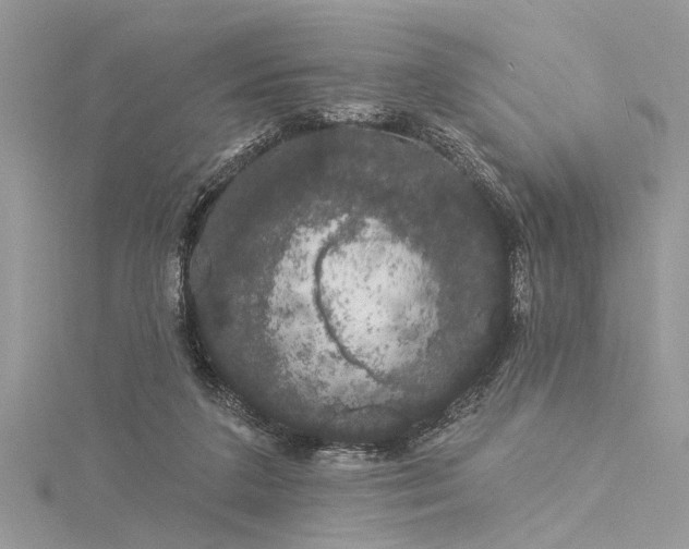 X0000116040211200911201352