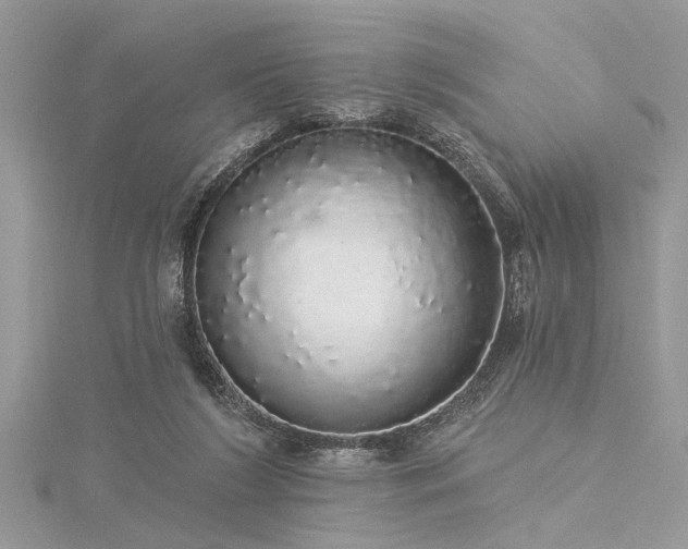 X0000116040212200911201352