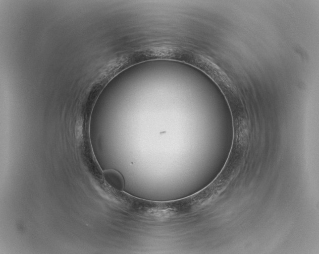 X0000116040213200911201352