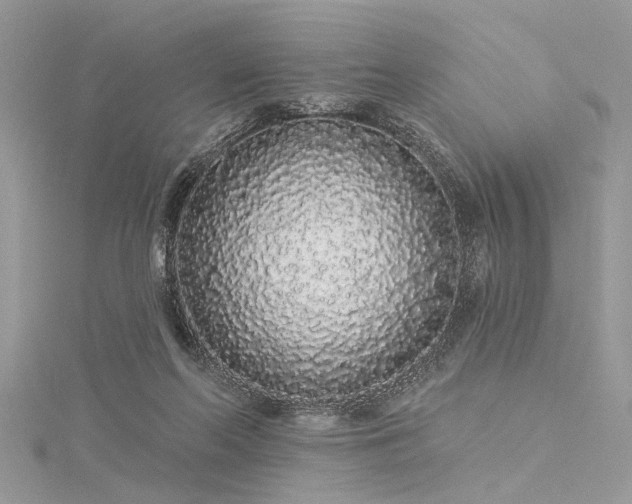 X0000116040214200911201352