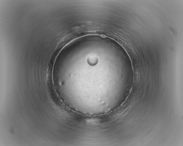 X0000116040216200911201352