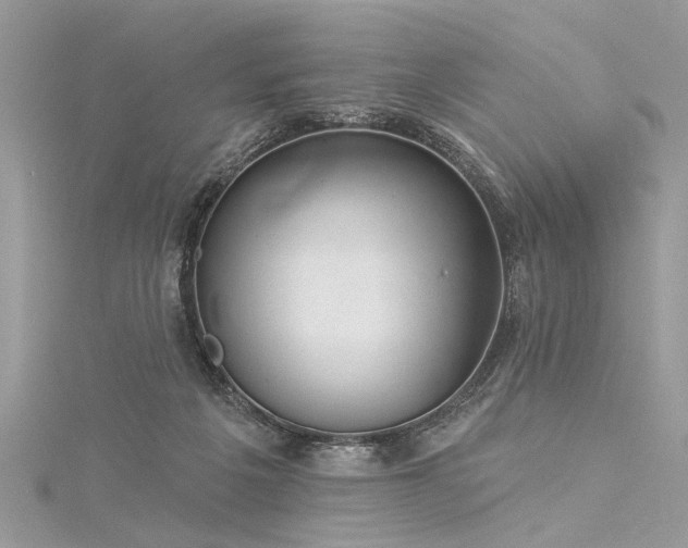 X0000116040217200911201352