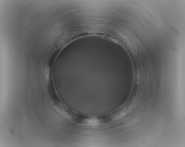 X0000116040219200911201352