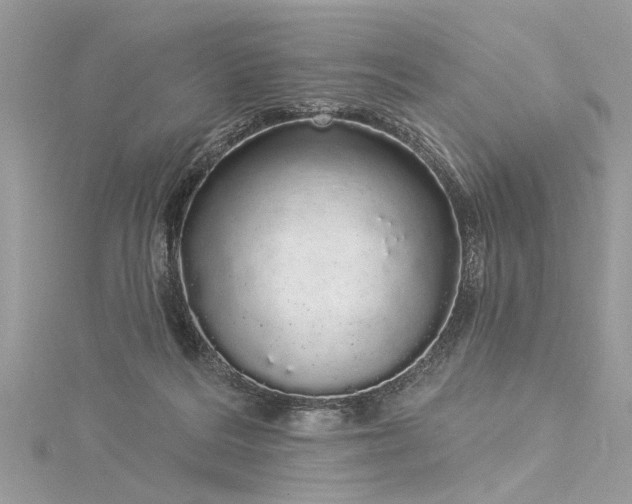 X0000116040220200911201352