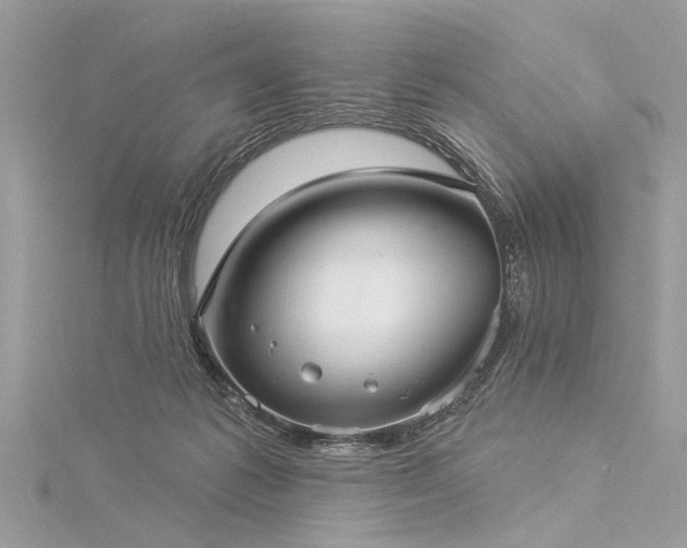 X0000116040221200911201351