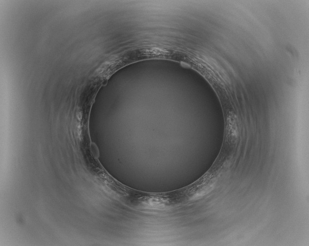 X0000116040223200911201351