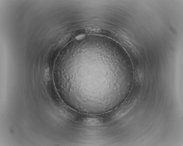X0000116040224200911201351
