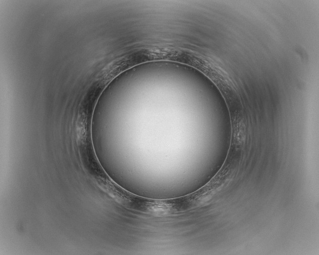 X0000116040226200911201351