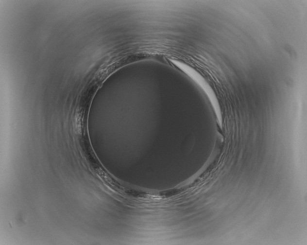 X0000116040227200911201351