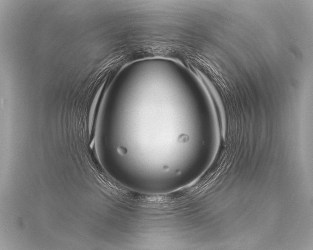 X0000116040237200911201351
