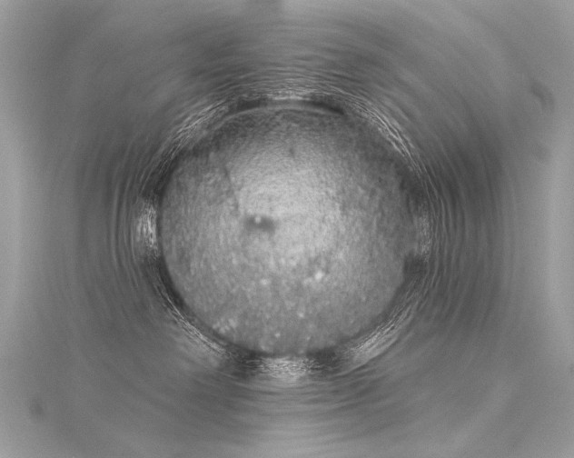 X0000116040238200911201351