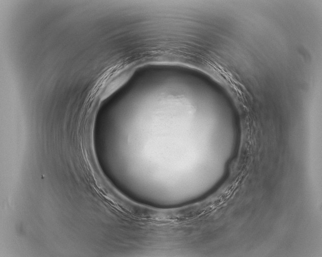 X0000116040241200911201351