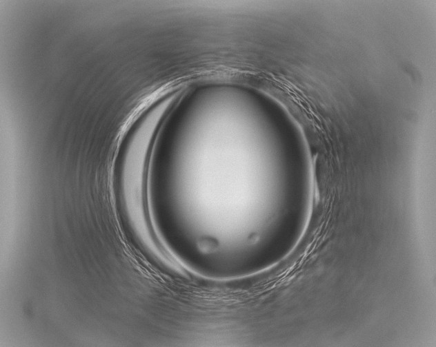X0000116040244200911201351