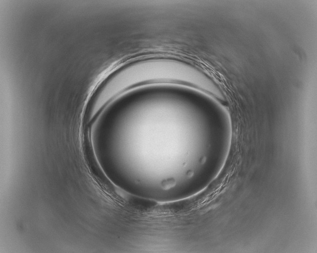 X0000116040248200911201351