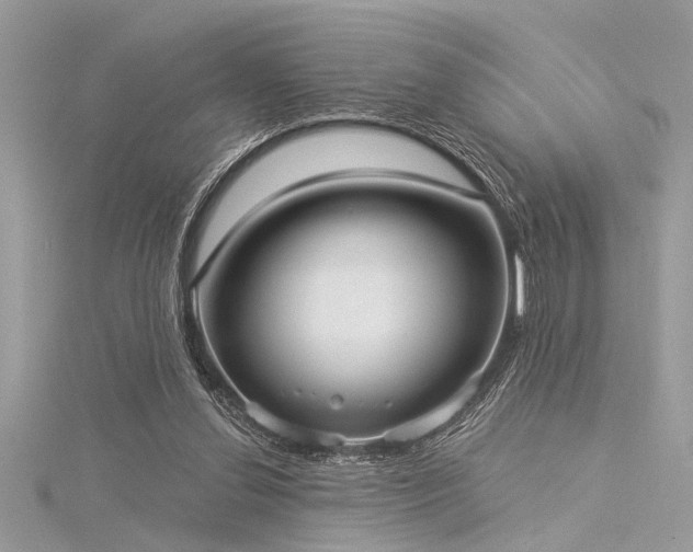 X0000116040252200911201351