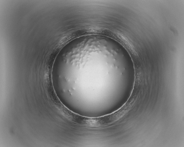 X0000116040265200911201351