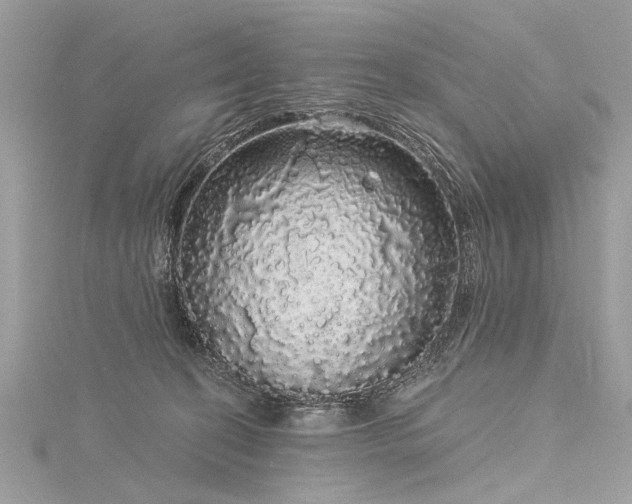 X0000116040274200911201351