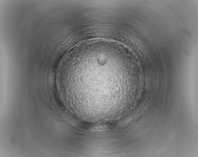 X0000116040278200911201351