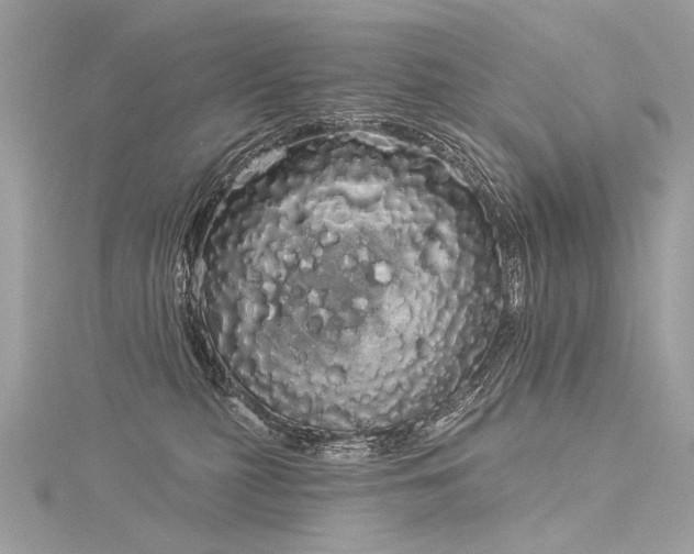 X0000116040279200911201351